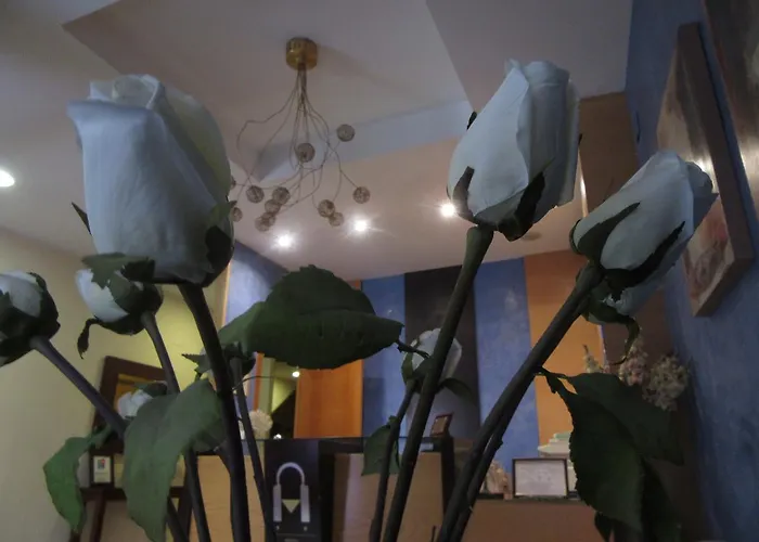 Hotel barato: Hotel San Marcos